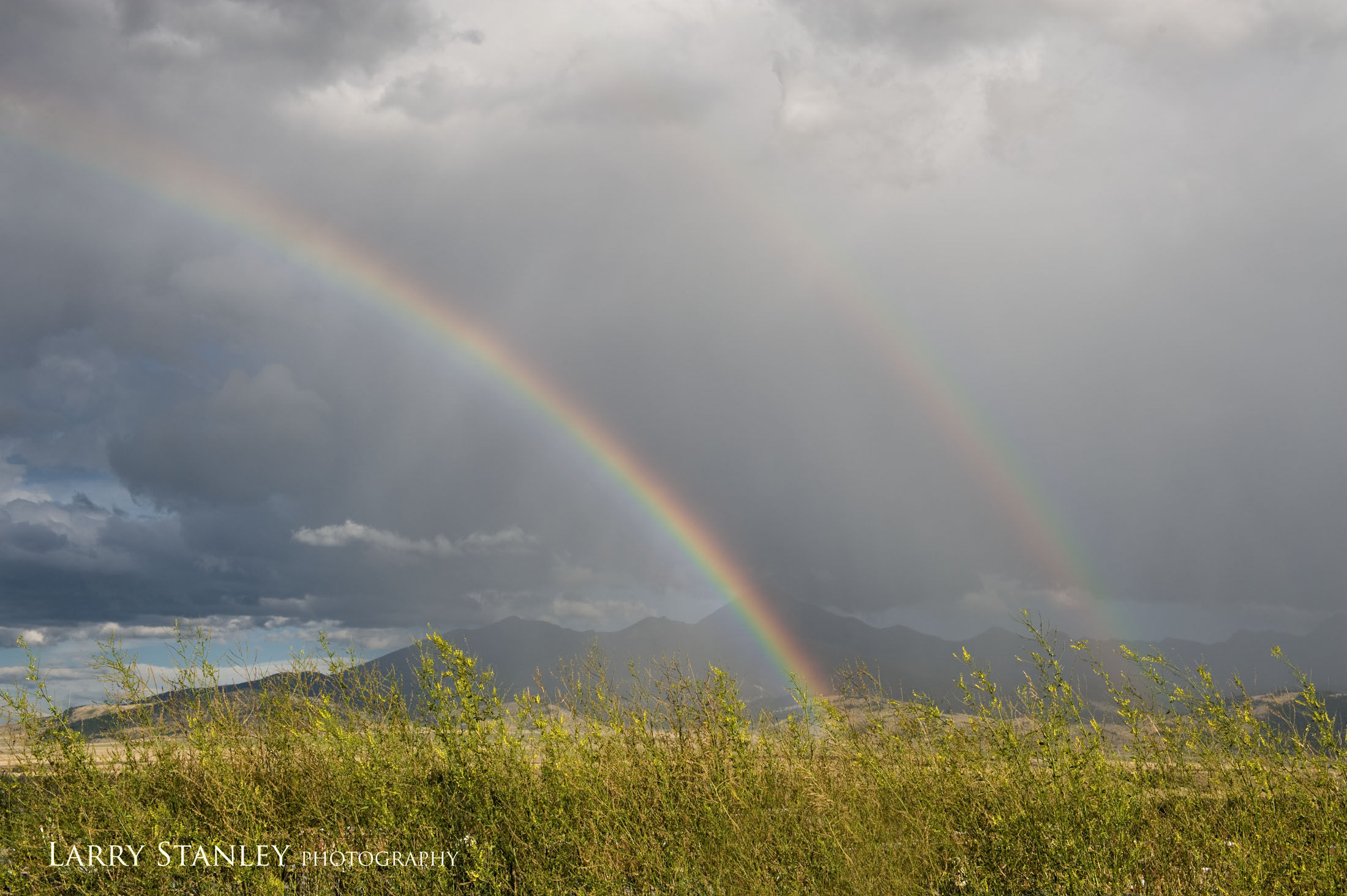 Livingston Montana Rainbows